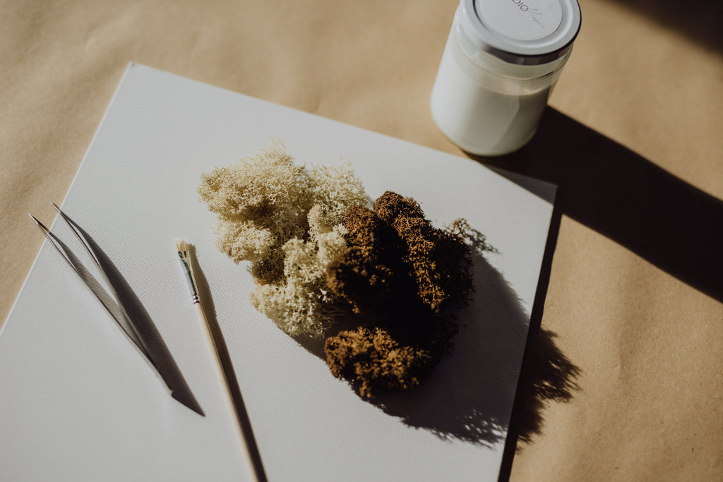 Moos.CONNECT - Workshop für Teams