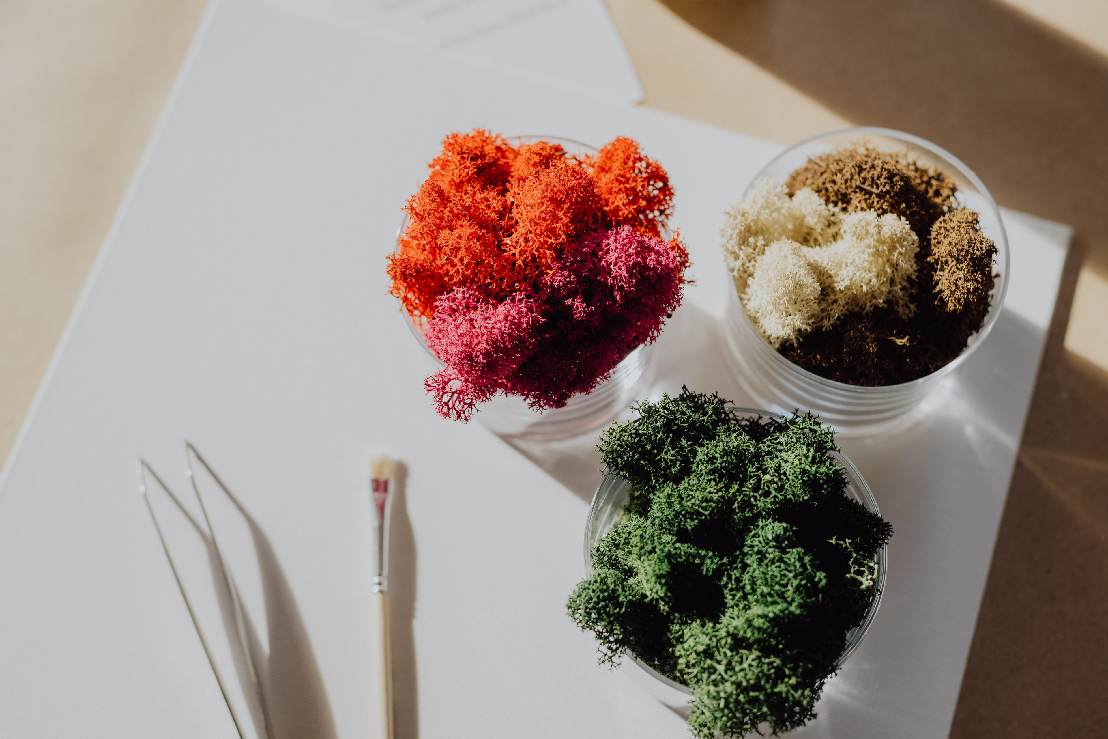 Moos.PLAY - Workshop für Kinder